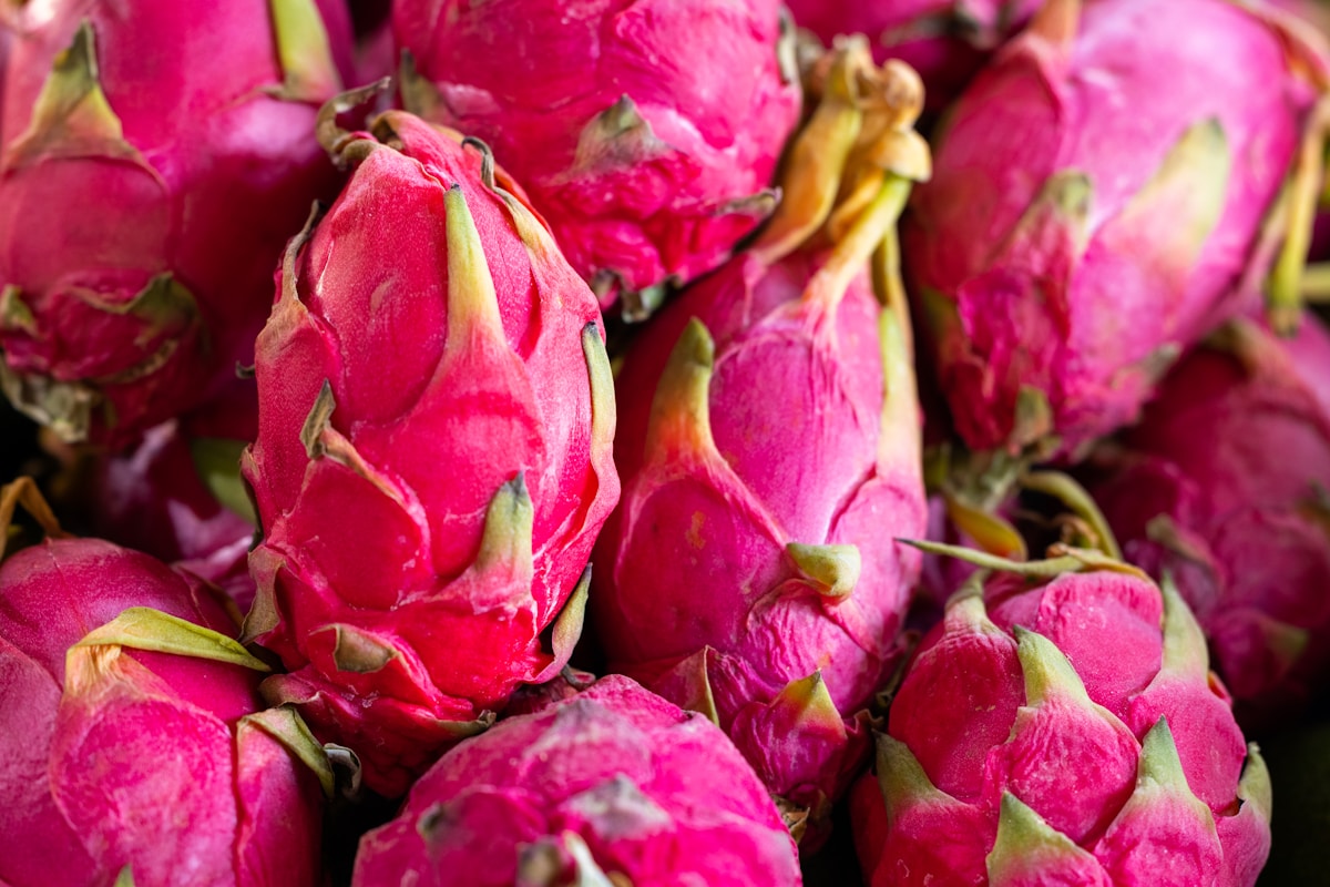A pile of dragon fruit displayed for export
