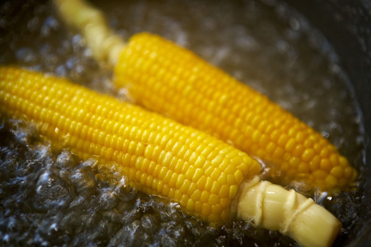 Close up of corn on the cob with frost